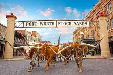 Stockyards Heritage