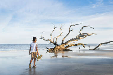 Driftwood Beach Jekyll Island