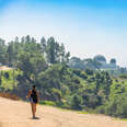 Hike to Griffith Observatory