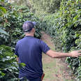 walking in the coffee fields