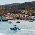 Santa Catalina Island harbor