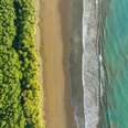 Top-down, aerial view, waves, beach and rainforest, Marino Ballena National Park, Osa National Park, dream beach and sea of the South Pacific, Puntarenas Province, Osa, Costa Rica, Central America